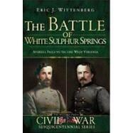 The Battle of White Sulphur Springs
