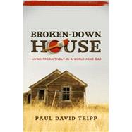 Broken down House : Living Productively in a World Gone Bad