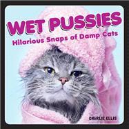 Wet Pussies Hilarious Snaps of Damp Cats