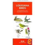 Louisiana Birds: An Introduction to Familiar Species