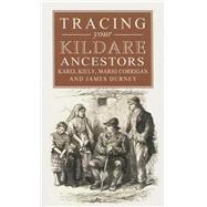 A Guide to Tracing Your Kildare Ancestors