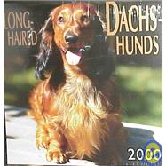 Long-Haired Dachshunds 2000 Calendar