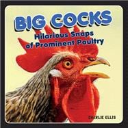 Big Cocks Hilarious Snaps of Prominent Poultry