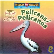 Pelicans/Pelicanos