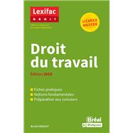 Droit du travail - Licence, Master - Édition 2023