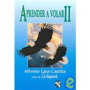 Aprender a Volar II/ Learning to Fly 2