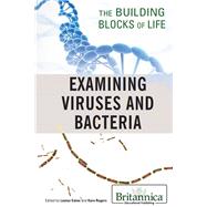 Examining Viruses and Bacteria