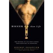 Bigger Than Life : The History of Gay Porn Cinema from Beefcake to Hardcore
