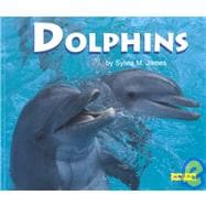 Dolphins