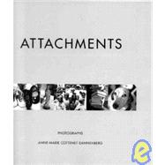 Attachments : Photographs