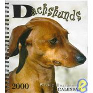 Dachshunds Weekly Engagement Calendar: Year 2000