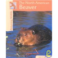 The North American Beaver