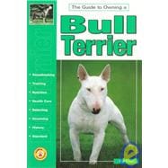 Guide to Owning a Bull Terrier