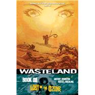 Wasteland 8