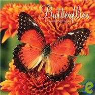 Butterflies 2009 Calendar