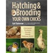 Hatching & Brooding Your Own Chicks Chickens, Turkeys, Ducks, Geese, Guinea Fowl