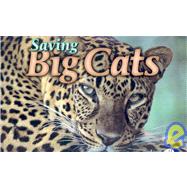 Saving Big Cats 2006 Calendar