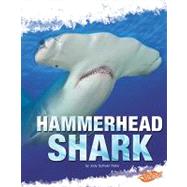 Hammerhead Shark