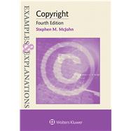 Examples & Explanations for  Copyright