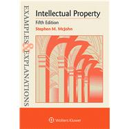 Examples & Explanations for  Intellectual Property