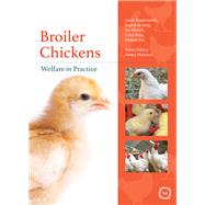 Broiler Chickens Welfare in Practice