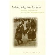 Making Indigenous Citizens