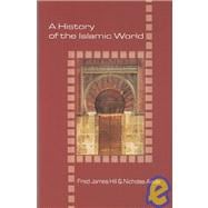 A History of the Islamic World