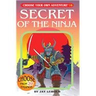 Secret of the Ninja