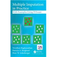 Multiple Imputation in Practice Using IVEware