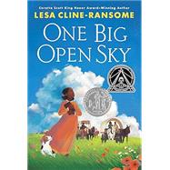 One Big Open Sky