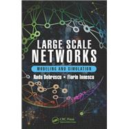 Large Scale Networks: Modeling and Simulation