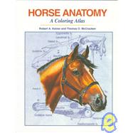 Horse Anatomy