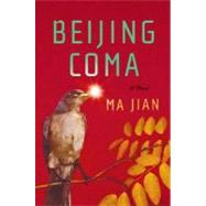 Beijing Coma: A Novel
