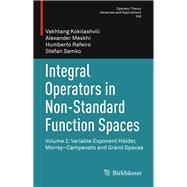 Integral Operators in Non-standard Function Spaces
