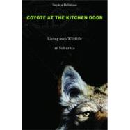 Coyote at the Kitchen Door