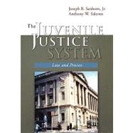 The Juvenile Justice System Law and Process