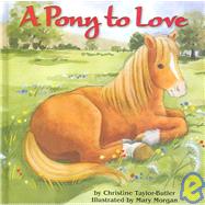 A Pony To Love