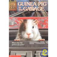 Animal Ark #19 Guinea Pig In The Garage