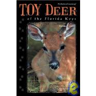 Toy Deer of the Florida Keys