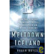 Meltdown Iceland Lessons on the World Financial Crisis from a Small Bankrupt Island