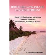 How To Get To The Palace From Your Prison: Joseph's 14 Step Program to Overcome Loneliness, Depression, Discrimination, Barrenness and Abuse