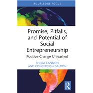 Promise, Pitfalls, and Potential of Social Entrepreneurship
