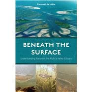 Beneath the Surface