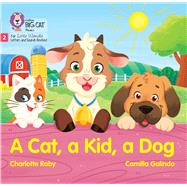 A Cat, a Kid and a Dog Phase 2 Set 3 Blending practice