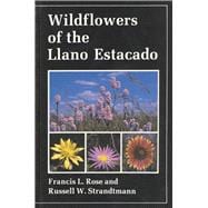 Wildflowers of the Llano Estacado