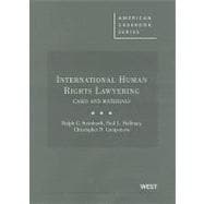 International Human Rights Lawyering