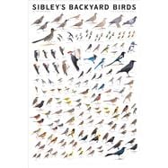 Sibley's Backyard Birds Western North America