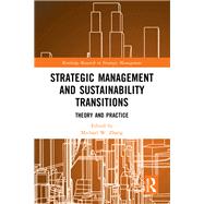 Strategic Management and Sustainability Transitions