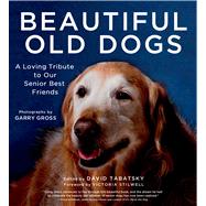 Beautiful Old Dogs A Loving Tribute to Our Senior Best Friends