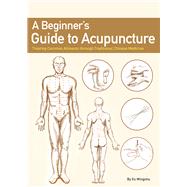 A Beginner’s Guide to Acupuncture Treating Common Ailments through Traditional Chinese Medicine